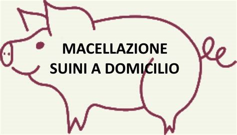 Macellazione dei suini per il consumo domestico privato.
